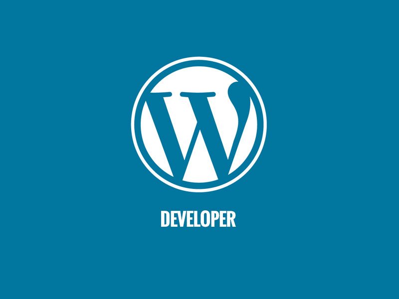 wordpress developer