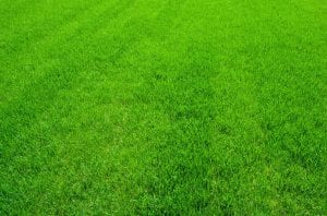 grass envy irrigation