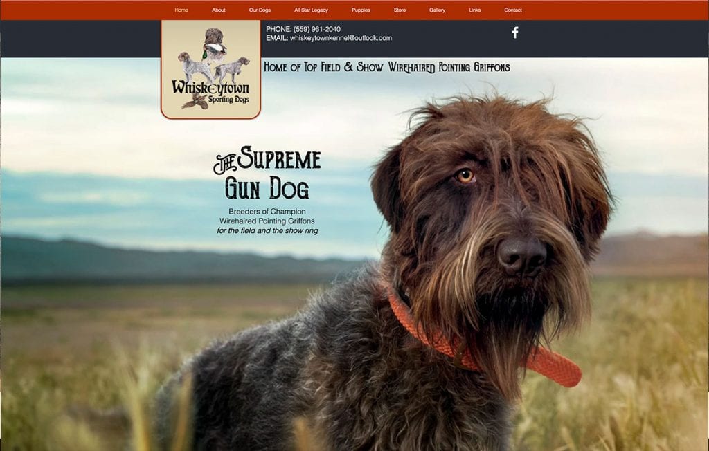 Dog Breeder site Design by Adchix AdChix site and Graphic Design